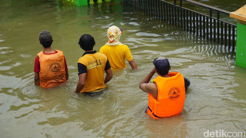 Kebanjiran, Pemuda Ini Malah Bisa Dapatkan Keong Emas 2 Kg Sehari