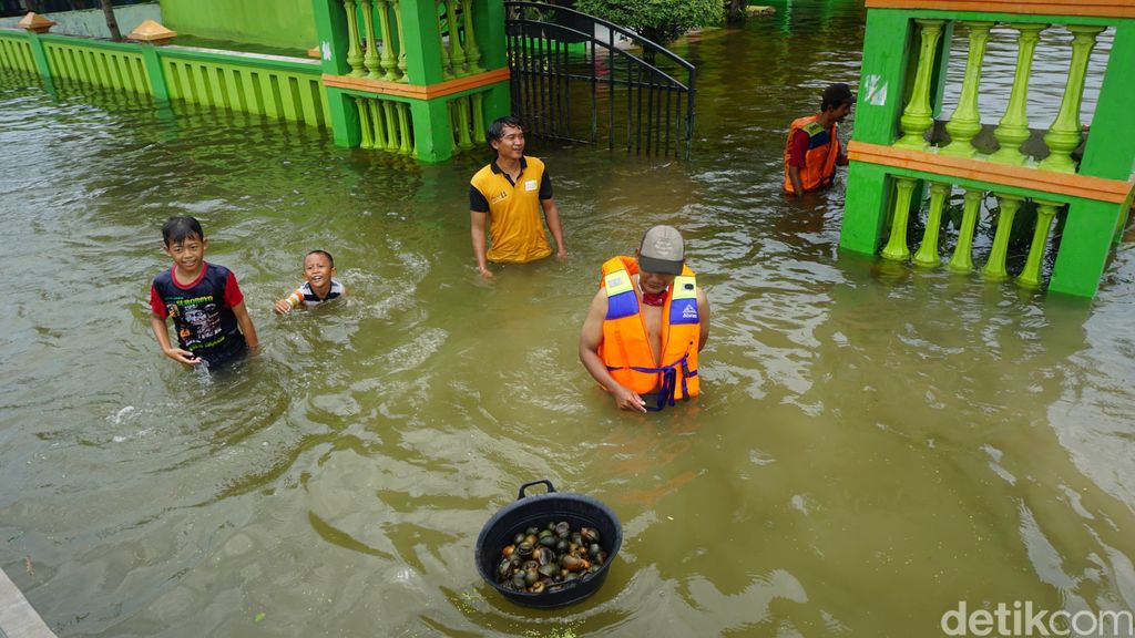 Kebanjiran, Pemuda Ini Malah Bisa Dapatkan Keong Emas 2 Kg Sehari
