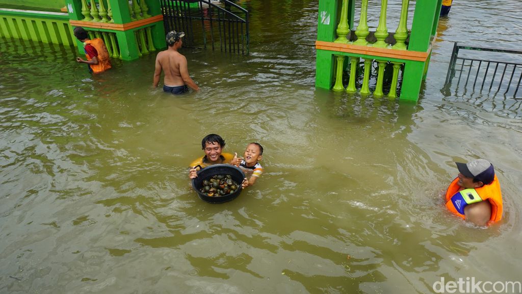 Kebanjiran, Pemuda Ini Malah Bisa Dapatkan Keong Emas 2 Kg Sehari