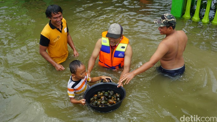 Kebanjiran, Pemuda Ini Malah Bisa Dapatkan Keong Emas 2 Kg Sehari