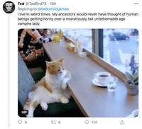 Fans Resident Evil salah fokus dengan vampir seksi Lady Dimitrescu. Meme Dimitrescu pun berseliweran di media sosial.