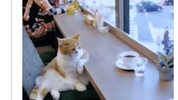 Dunia memang sudah aneh. Foto: Twitter/@TadBird73