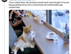 Meme Vampir Seksi Lady Dimitrescu Menyerbu Medsos