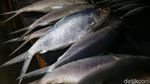 Penjualan Ikan Bandeng Masih Lesu