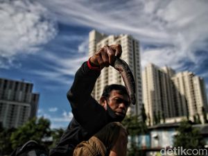 Cara Kembang Biak Ovipar, Ini Ciri-ciri dan Contoh Hewannya