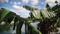 Mereka mencari lapak memancing di setiap sudut lokasi Kali Item.