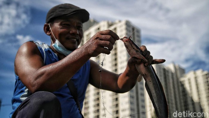 Ramai-ramai Berburu Berkah Imlek di Kali Item Sunter Salah satu keluarga etnis Tionghoa berbagi berkah jelang Imlek dengan melepas 8 drum besar ikan lele de dalam Kali Item, Sunter, Jakarta Utara.