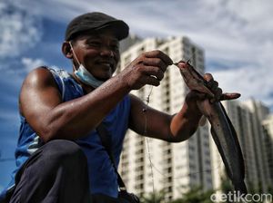 Sederet Fakta tentang Lele si Ikan Berkumis