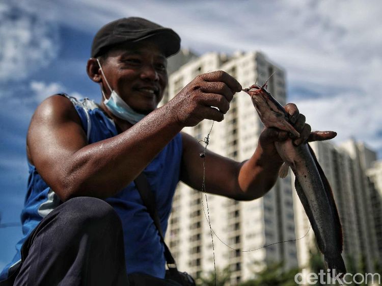 Sederet Fakta tentang Lele si Ikan Berkumis