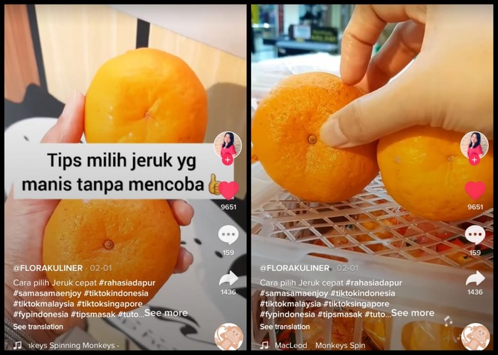 Tips Memilih Jeruk Mandarin yang Manis Tanpa Harus Mencicipi