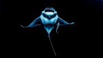 Foto Terbaik di Underwater Photographer of the Year 2021, Ada dari Indonesia