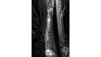 Diana Fernie dari Australia memenangkan kategori Hitam Putih dengan foto berjudul the cut. Foto ini diambil selama perjalanan menyelam di Kepulauan Solomon.