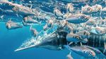 Foto Terbaik di Underwater Photographer of the Year 2021, Ada dari Indonesia