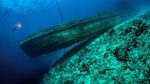 Foto Terbaik di Underwater Photographer of the Year 2021, Ada dari Indonesia