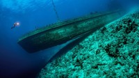 Kategori Wrecks dimenangkan oleh Tobias Friedrich, dari Jerman dengan karya berjudul Bowlander diambil di dekat Nassau, Bahama.