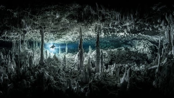 Foto berjudul gothic chamber, menggambarkan sistem sungai bawah tanah di Meksiko. Karya ini diambil oleh Martin Broen dari AS. Foto ini adalah runner-up dalam kategori wide angle.
