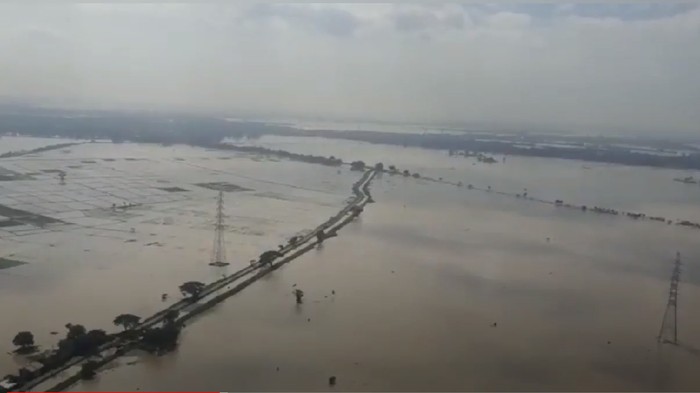 Bencana banjir di Kabupaten Subang, Jawa Barat, masih terjadi. Selain merendam ribuan rumah, banjir juga merendam puluhan ribu hektare sawah dan tambak. Kini padi terancam mati, ikan hilang terbawa banjir.