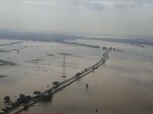 Banjir Terjang Subang, Puluhan Ribu Hektare Sawah dan Tambak Terdampak