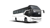 Golden Dragon Triumph merupakan bus double glass, dengan dimensi panjang 12.000 mm, lebar 2.550 mm, dan tinggi 3.790 mm, dengan jarak sumbu roda 6.000. Bus ini menggunakan banyak pilihan mesin diesel, salah satunya mesin berkode YC 6M360-30. Golden Dragon Triumph dibekali suspensi udara, dengan rem berteknologi retarder. Di Indonesia, desain Golden Dragon Triumph mirip dengan bodi Avante buatan karoseri Tentrem. Foto: Golden Dragon