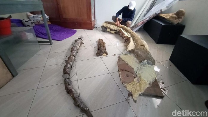Ini Lho... Fosil Gading Gajah Purba yng Ditemukan di Kudus Sebuah fosil gading gajah purba ditemukan di Desa Mangunrejo Kecamatan Margorejo Pati, Kudus. Fosil sepanjang 4 meter itu diperkirakan 700 ribu sampai 1,5 juta tahun yang lalu.