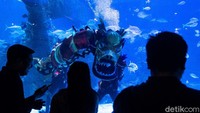 Lalu dilanjutkan dengan Liong Show yang diikuti oleh duyung yang berkeliling aquarium untuk menyapa pengunjung.