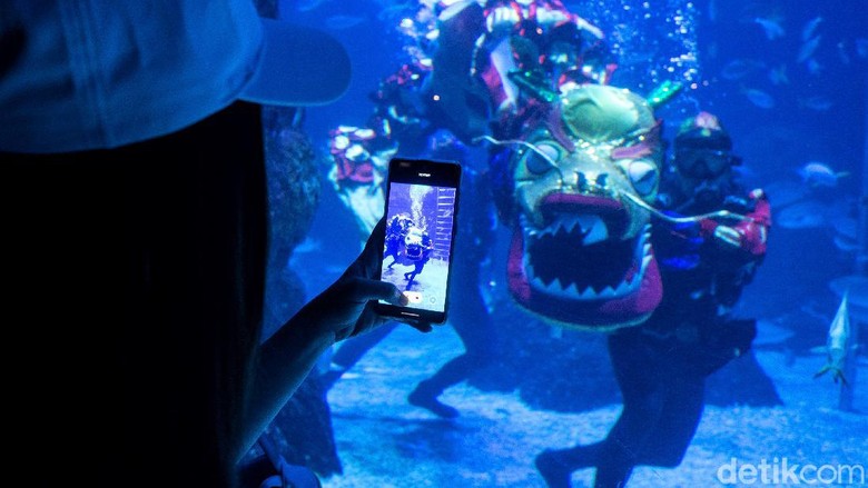 Melihat Aksi Liong Bawah Air-Putri Duyung Saat Perayaan Imlek Beragam kegiatan digelar untuk meriahkan perayaan Tahun Baru Imlek. Salah satunya adalah atraksi liong dan putri duyung bawah air di Jakarta Aquarium & Safari.