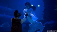 Selain itu pihak Jakarta Aquarium juga memberi angpao bagi traveler yang beruntung. Terdapat juga grandprize untuk menginap di hotel bintang 5, serta special paket tur dan makanan di restoran Pingoo (Sambil memberi makan Penguin).