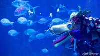 Yang tidak kalah penting, pihak Jakarta Aquarium juga menjalankan semua kegiatannya sesuai dengan standar protokol kesehatan. Jadi traveler bisa berwisata dengan aman.