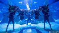 Jakarta Aquarium & Safari menggelar pertunjukan liong dan putri duyung bawah air, Jumat (12/2/2021).