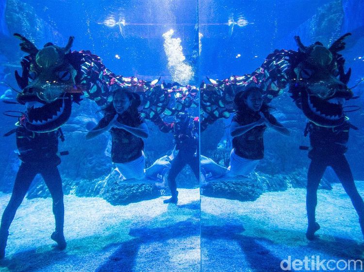 Melihat Aksi Liong Bawah Air-Putri Duyung saat Rayakan Imlek