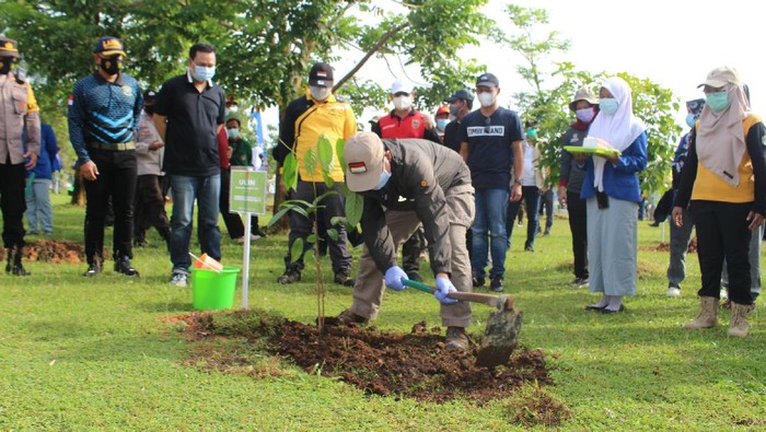 Paman Birin tanam pohon di hari terakhir jabat Gubernur Kalsel (Risanta-detikcom)