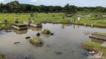Selamat Datang di Jakarta, Saat Kuburan Jadi Tempat Mancing Warga