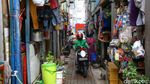 Apa Kabar Kampung Deret Petogogan Hasil Sulap Jokowi?