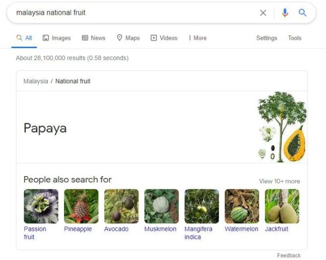 durian jadi buah nasional Singapura, bagaimana dengan Indonesia?