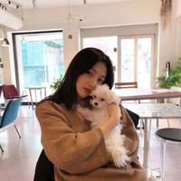 Haetnim adalah anjing maltese putih milik Joy Red Velvet, yang diadopsinya pada 2018 saat menjadi volunteer di dog shelter. Hewan peliharaan Idol KPop ini tinggal di rumah orangtua Joy Red Velvet dan memiliki akun Instagram sendiri, @haetnimee. Foto: Dok. Instagram