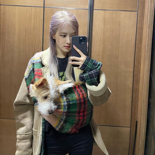 Diadopsi pada Desember 2020, Hank adalah anjing ras campuran milik Rose BLACKPINK. Hewan peliharan Idol KPop ini memiliki akun Instagram sendiri @hank_says_hank bahkan di-endorse tas dan kalung mahal dari Saint Laurent seharga jutaan rupiah. Foto: Dok. Instagram