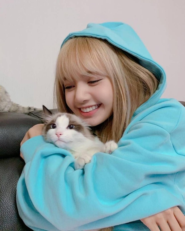 Lisa BLACKPINK memiliki enam kucing dan empat di antaranya bernama Leo, Luca, Lily, dan Louis tinggal di Korea. Dalam foto ini, Lisa BLACKPINK berpose dengan Lily, kucing Ragdoll yang muncul di video klip lagu BLACKPINK dan Selena Gomez ‘Ice Cream’. Foto: Dok. Instagram