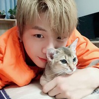 Kang Daniel mengadopsi empat kucing yang diberi nama Rooney, Peter, Ori, dan Zhang-ah. Dalam foto ini, mantan kekasih Jihyo TWICE itu berpose dengan kucing abyssinian yang dinamai Ori karena terinspirasi dengan kucing di film Constantine, duck (dalam bahasa Korea: ori). Foto: dok. Instagram @daniel.k.here