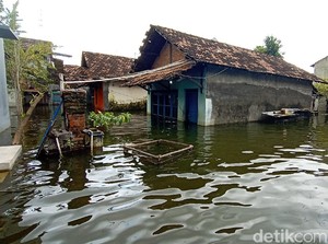 Banjir di Kudus Awet hingga 2 Pekan Diduga Gegara Pendangkalan Sungai