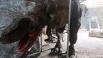 Kostum Animatronik Dinosaurus Ini Buatan Bantul Lho