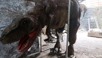 Oleh sebab itu, dia membuat kostum dan animatronik tersebut sesuai pesanan. Dia mengungkapkan, bahwa total kostum hewan jaman prasejarah tersebut yang sudah dibuat sekitar 100 unit.