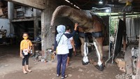 Kendati demikian, kostum dan animatronik dinosaurus karya Iqbal diminati banyak tempat wisata alam. Bahkan, anak pertama dari tiga bersaudara ini sudah mampu menjual kostum dan animatronik dinosaurus hingga luar DIY.