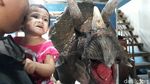 Kostum Animatronik Dinosaurus Ini Buatan Bantul Lho