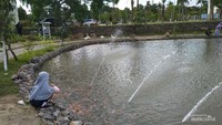 Merawat ikan
