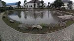 Masjid di Bandung Punya Taman Cinta, Fungsinya Merawat Ekosistem