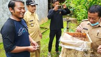 Tapi tidak semua sarang madu yang bisa disedot langsung, tapi hanya sarang lebah trigona/klanceng jenisnya itama lepisep dan lebah tetragonula. Karena lebah ini tidak memiliki sengat dan tidak agresif.