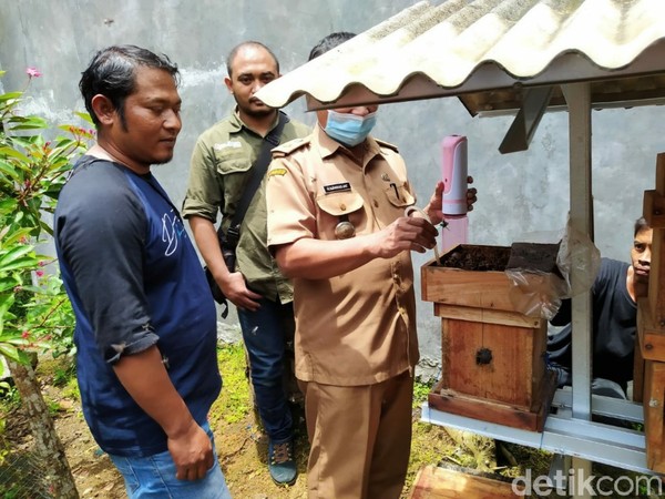 Di tempat ini pengunjung bisa merasakan langsung sensasi meminum madu menggunakan sedotan langsung dari sarangnya. Tapi tidak perlu khawatir, karena lebahnya pun tidak menyengat. Di tempat ini pengunjung bisa merasakan langsung sensasi meminum madu menggunakan sedotan langsung dari sarangnya. Tapi tidak perlu khawatir, karena lebahnya pun tidak menyengat.