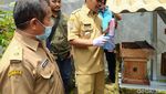 Foto: Wisata Sedot Madu Langsung dari Sarangnya di Ciamis