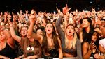 Wow, Selandia Baru Gelar Konser dengan 30 Ribu Penonton!