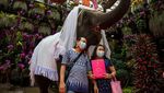Hari Kasih Sayang, Pasangan di Thailand Antusias Ikut Nikah Massal